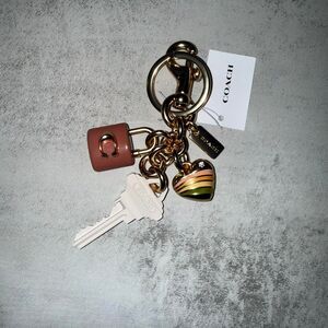 Coach multi coloured cluster keychain